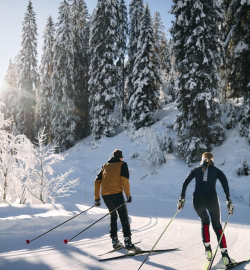 Langlaufen Schwende _ Oliver Farys (c) Oliver Farys - Kleinwalsertal Tourismus eGen _ Oliver Farys